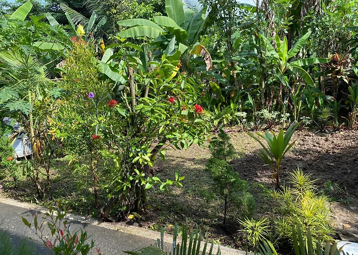Diara's * Ubud